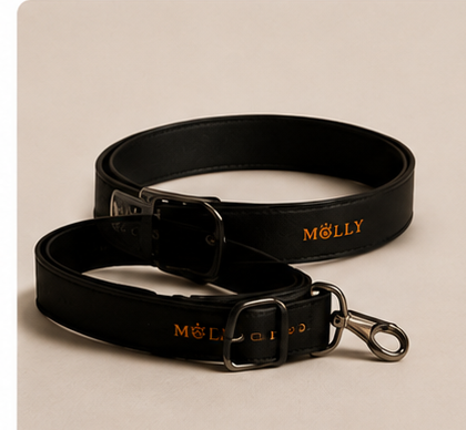 ACCESORIOS